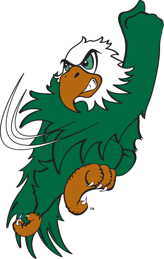 North Texas Mean Green 2003-2005 Mascot Logo v3 iron on transfers for clothing